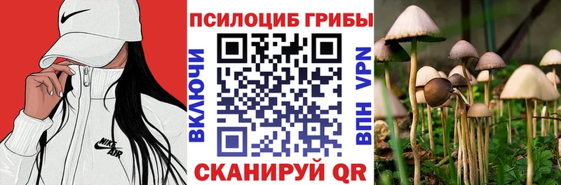 Псилоцибиновые грибы ЛСД  KRAKEN ССЫЛКА  Кунгур 